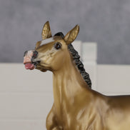 Diana OOAK EFCM Pimento by Tiffany Purdy GS26