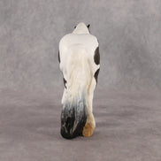 Diarmuid OOAK EFCM Pebble Drafter by Kristen Cermele Best Offer 9.1.2026
