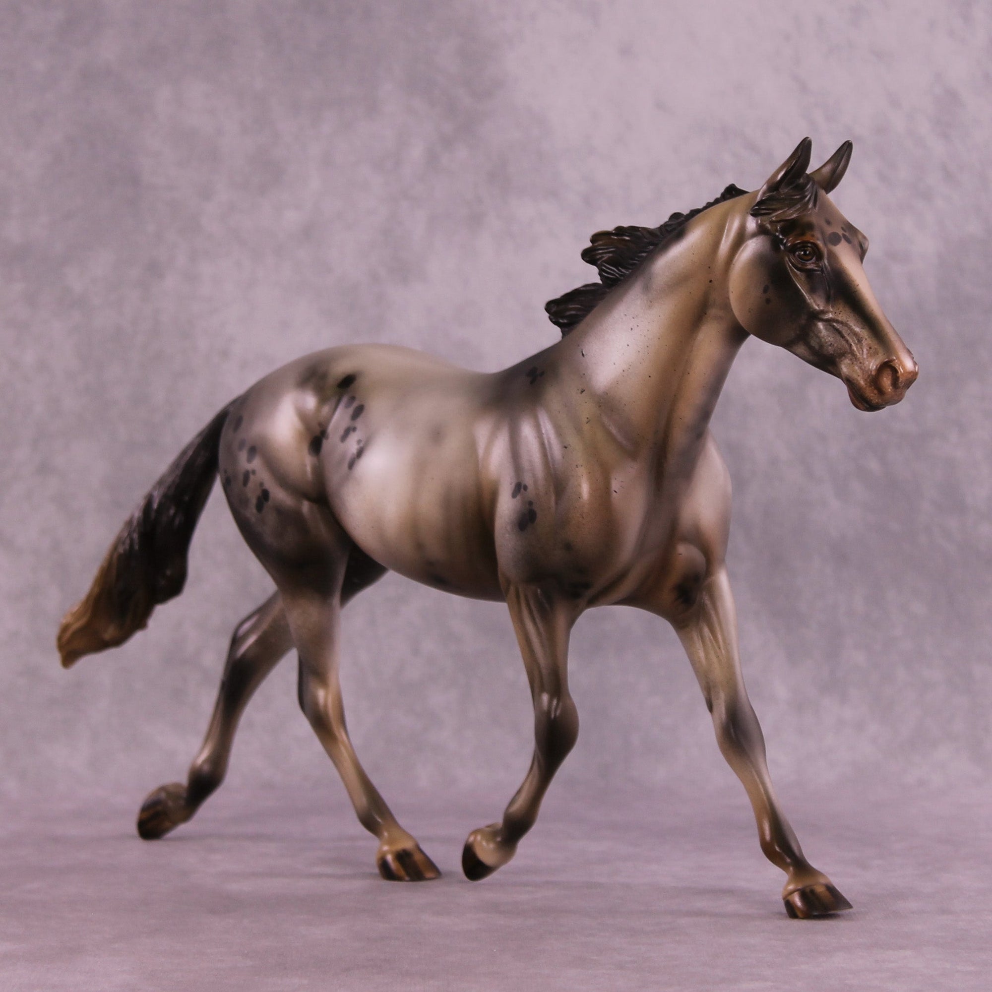 Different Gravity OOAK Palouse by Julie Keim MM25 Group B