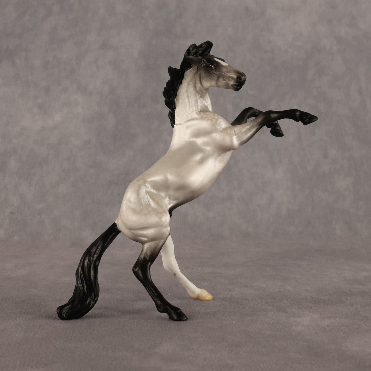 Dilly OOAK Chip Mustang by Alex Fortman LHS26