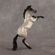Dilly OOAK Chip Mustang by Alex Fortman LHS26