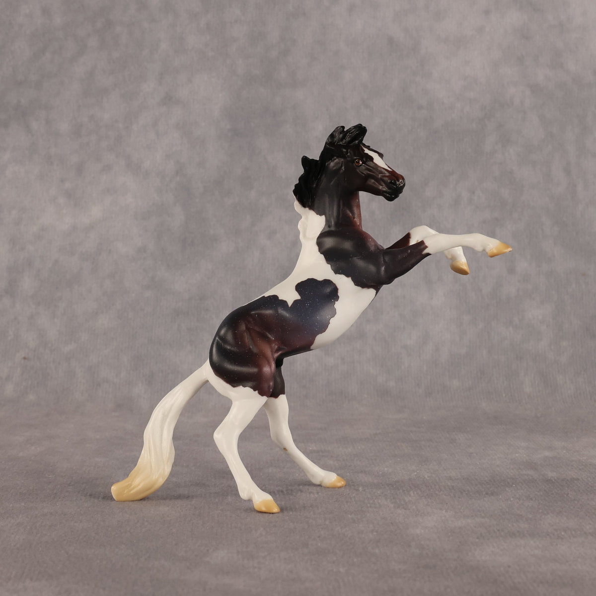 Dire Straights OOAK Chip Mustang by Anna Rieck LHS26