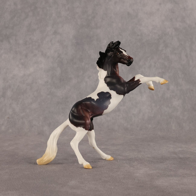 Dire Straights OOAK Chip Mustang by Anna Rieck LHS26