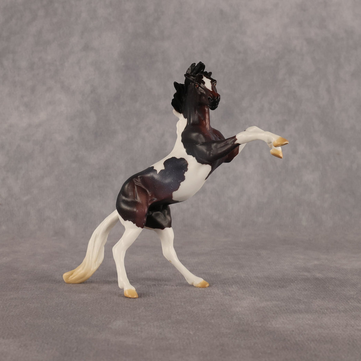 Dire Straights OOAK Chip Mustang by Anna Rieck LHS26