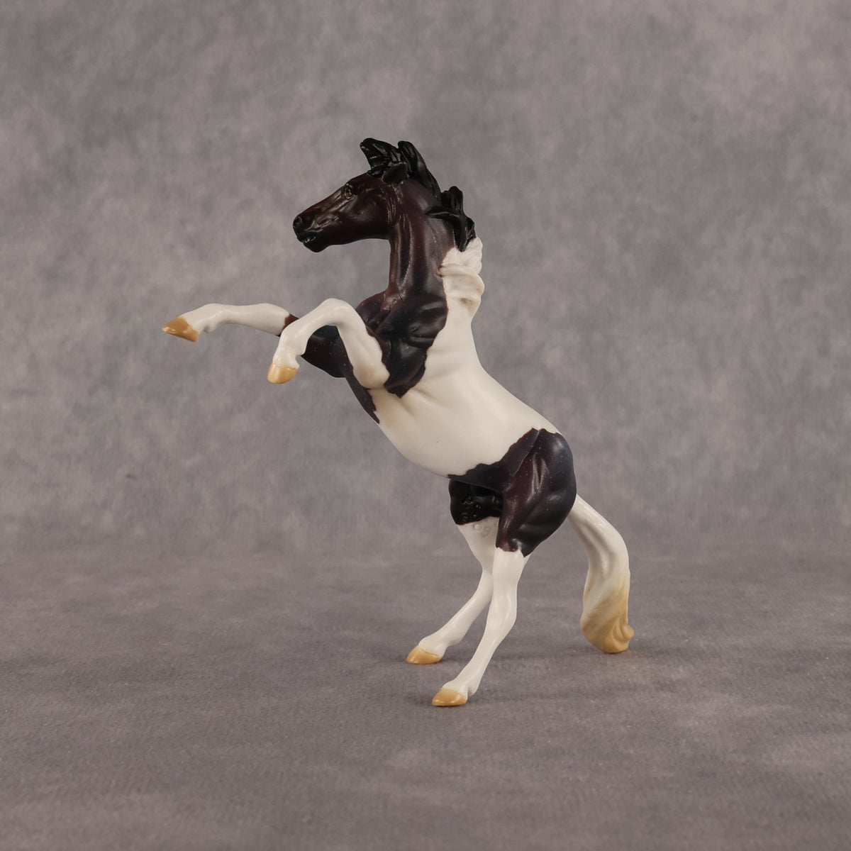 Dire Straights OOAK Chip Mustang by Anna Rieck LHS26