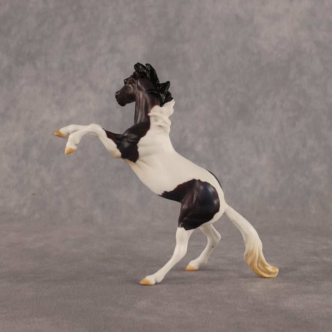 Dire Straights OOAK Chip Mustang by Anna Rieck LHS26