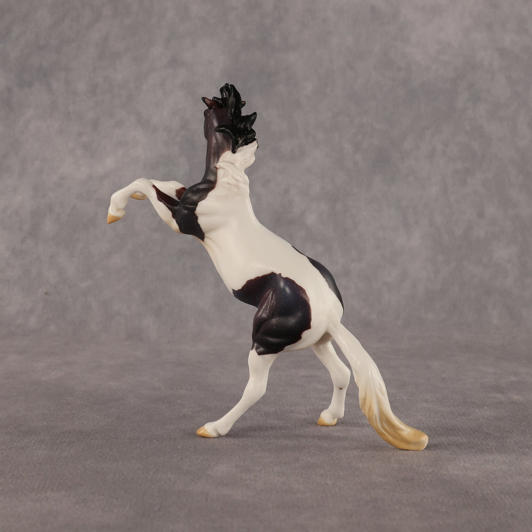 Dire Straights OOAK Chip Mustang by Anna Rieck LHS26