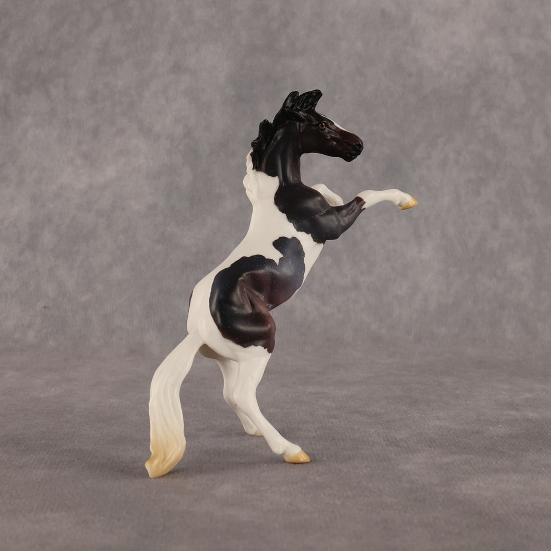 Dire Straights OOAK Chip Mustang by Anna Rieck LHS26