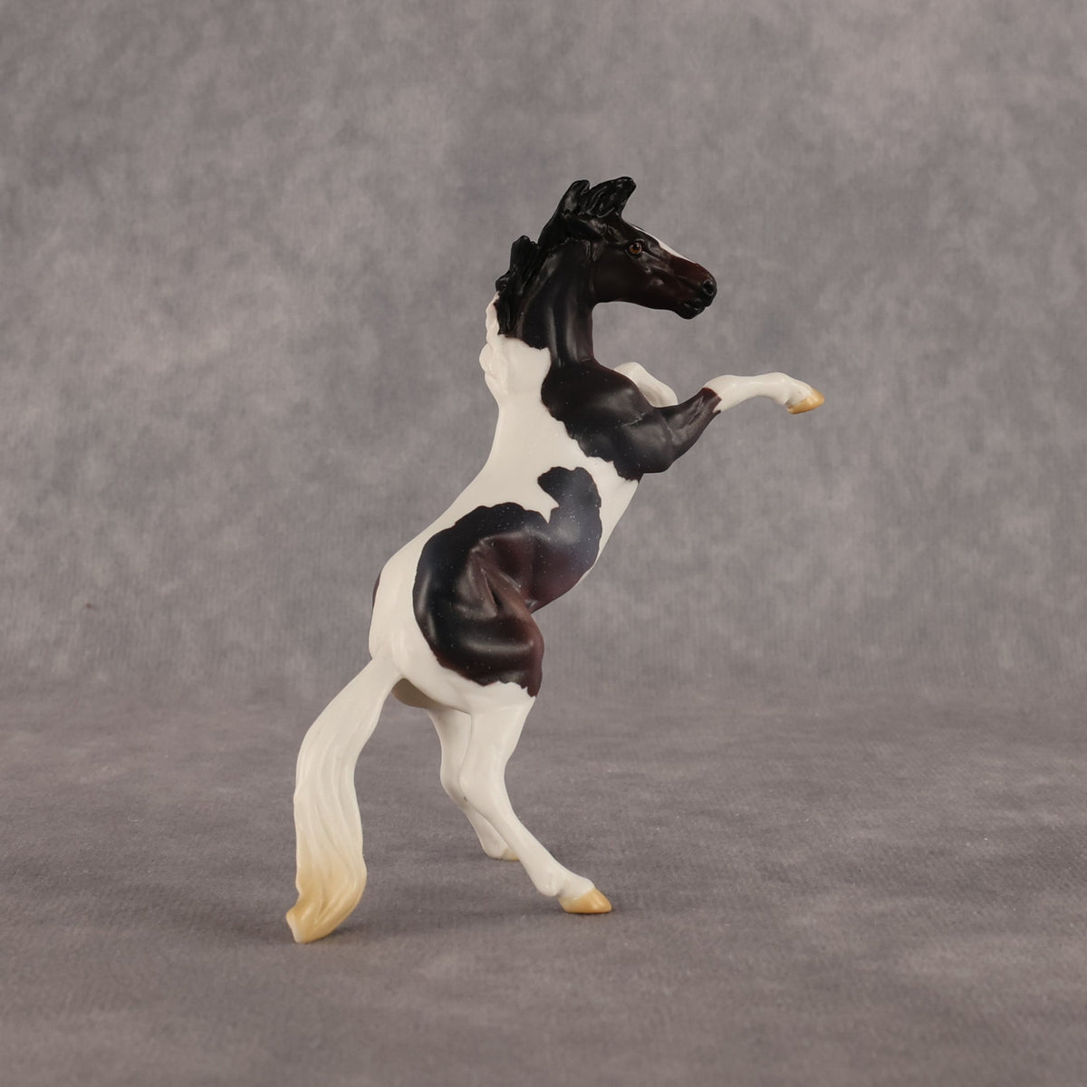 Dire Straights OOAK Chip Mustang by Anna Rieck LHS26