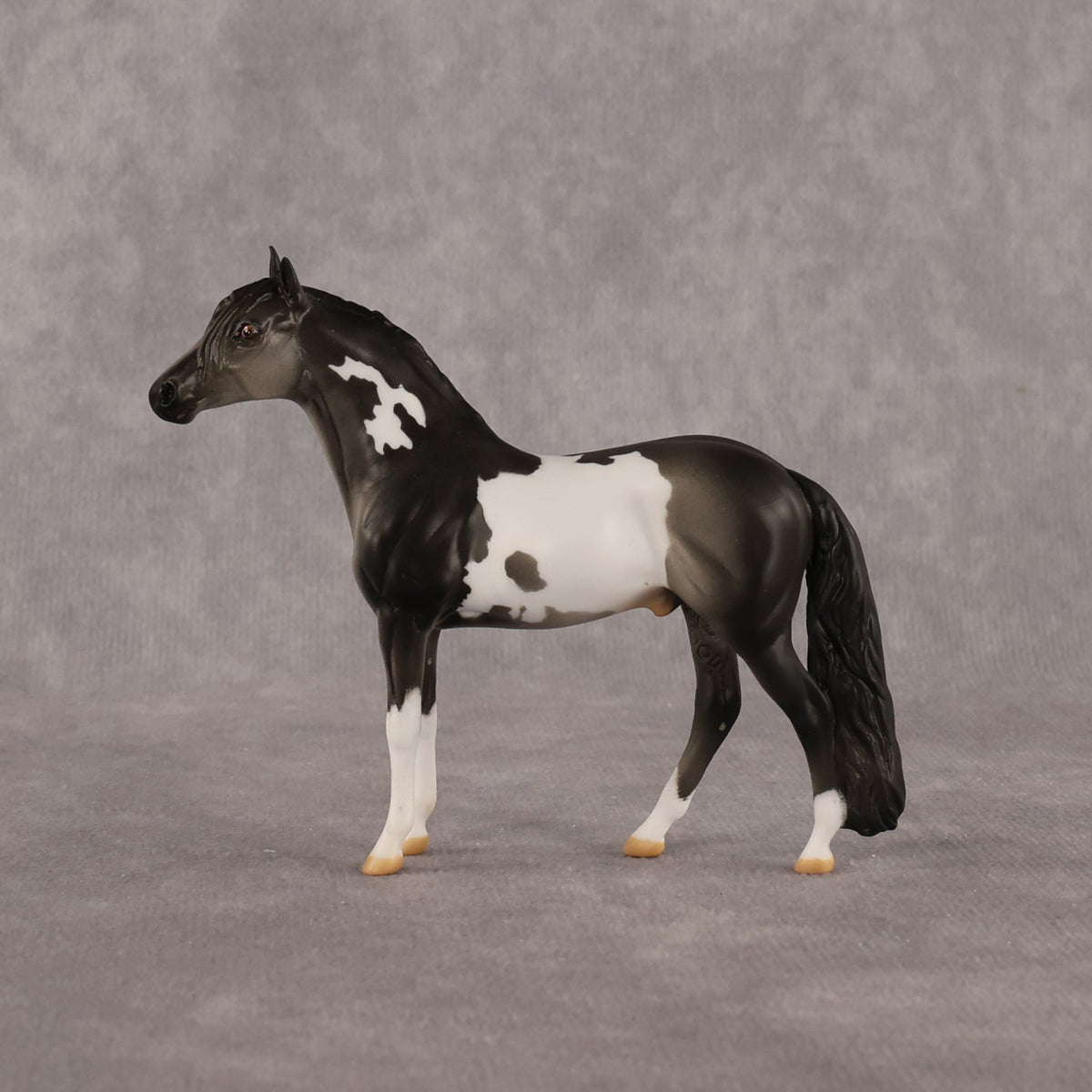Distraction OOAK Chip Andalusian by Anna Rieck LHS26