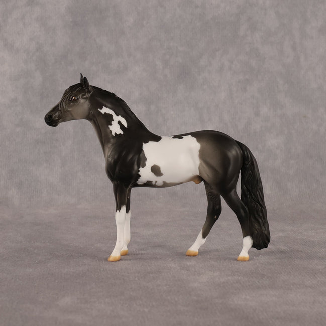 Distraction OOAK Chip Andalusian by Anna Rieck LHS26