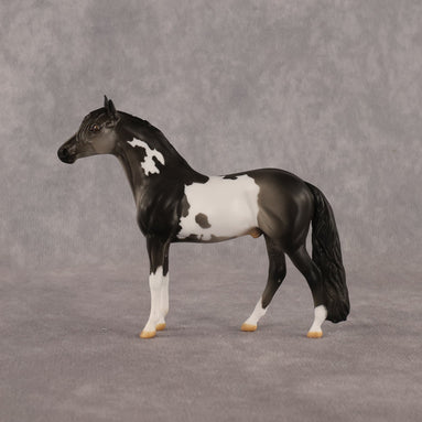 Distraction OOAK Chip Andalusian by Anna Rieck LHS26
