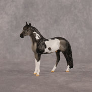 Distraction OOAK Chip Andalusian by Anna Rieck LHS26