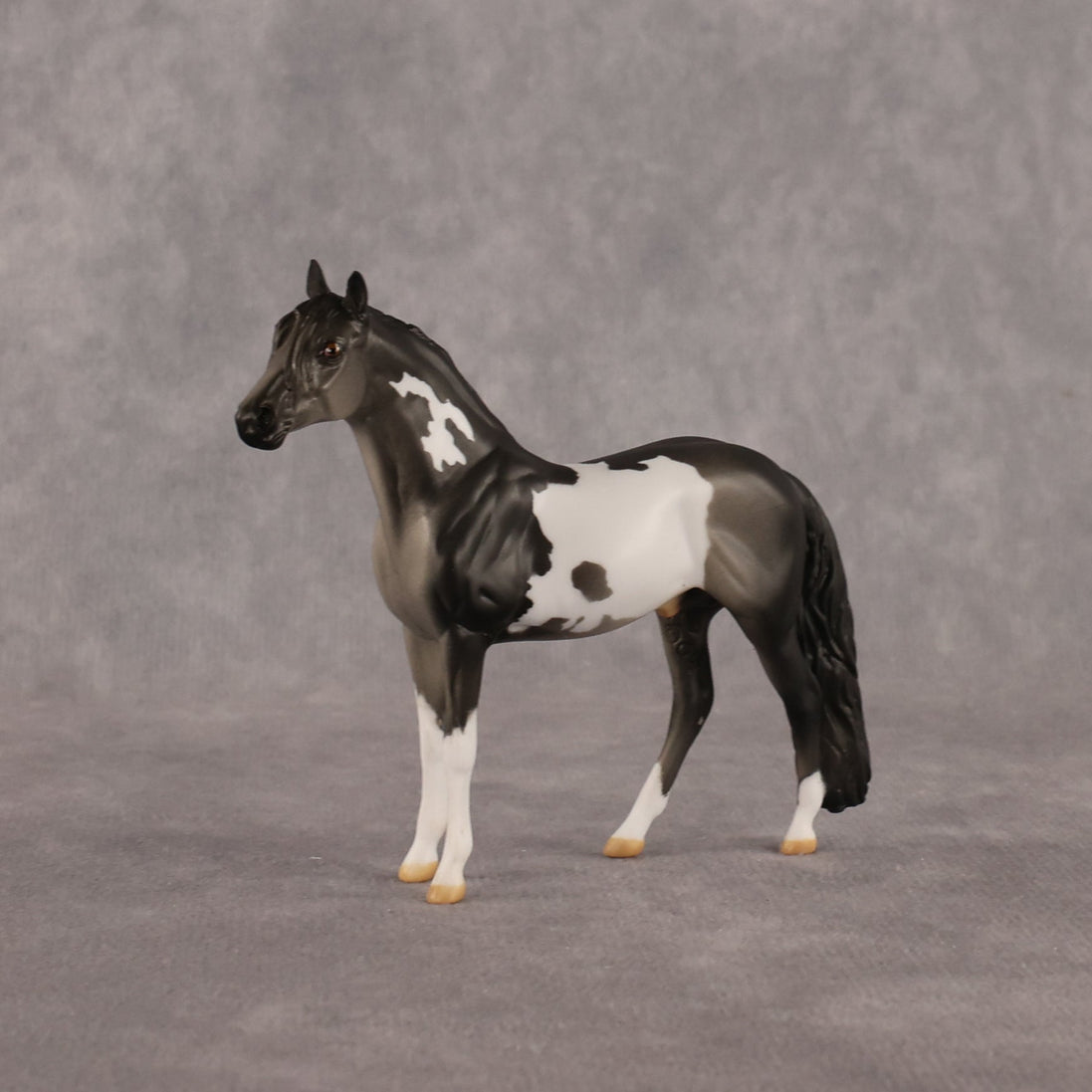 Distraction OOAK Chip Andalusian by Anna Rieck LHS26