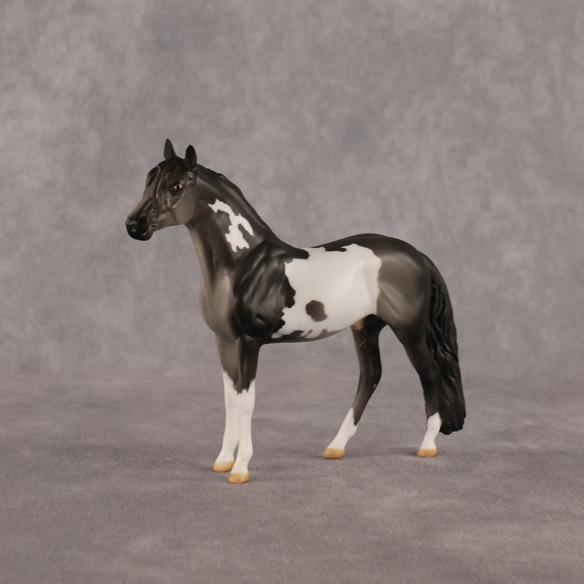 Distraction OOAK Chip Andalusian by Anna Rieck LHS26