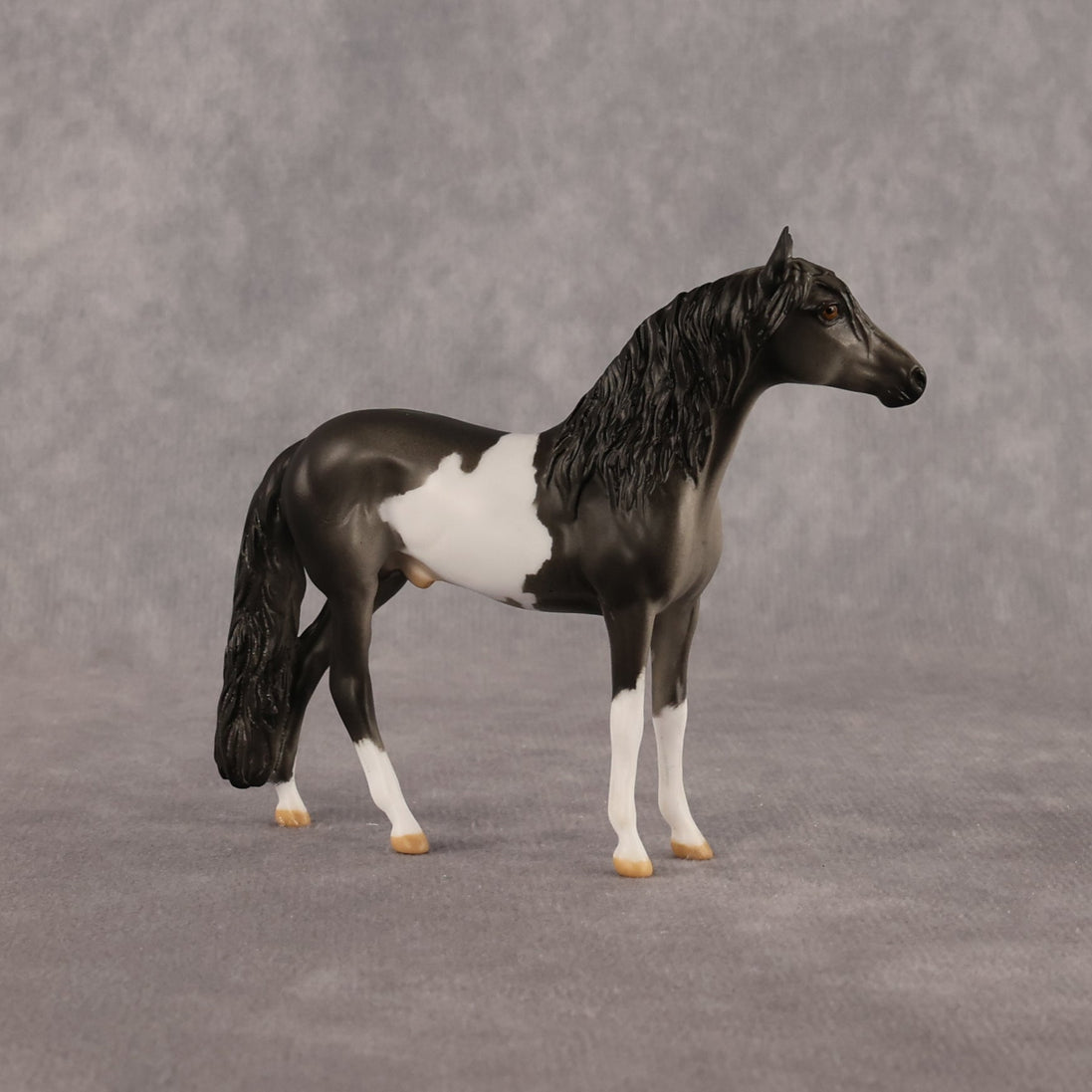 Distraction OOAK Chip Andalusian by Anna Rieck LHS26