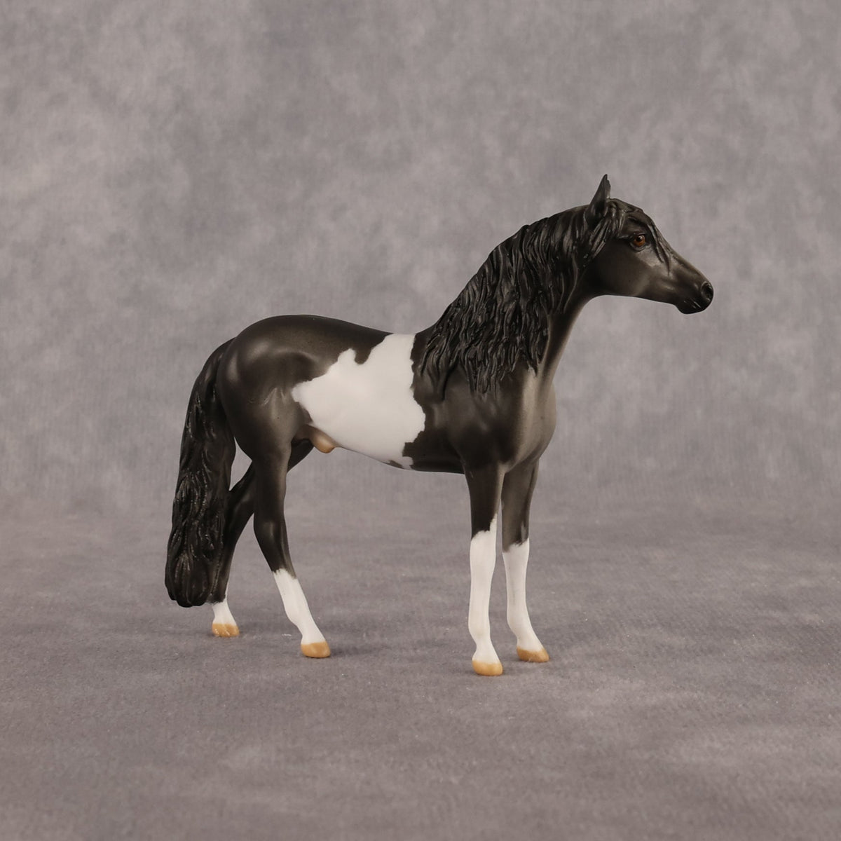 Distraction OOAK Chip Andalusian by Anna Rieck LHS26