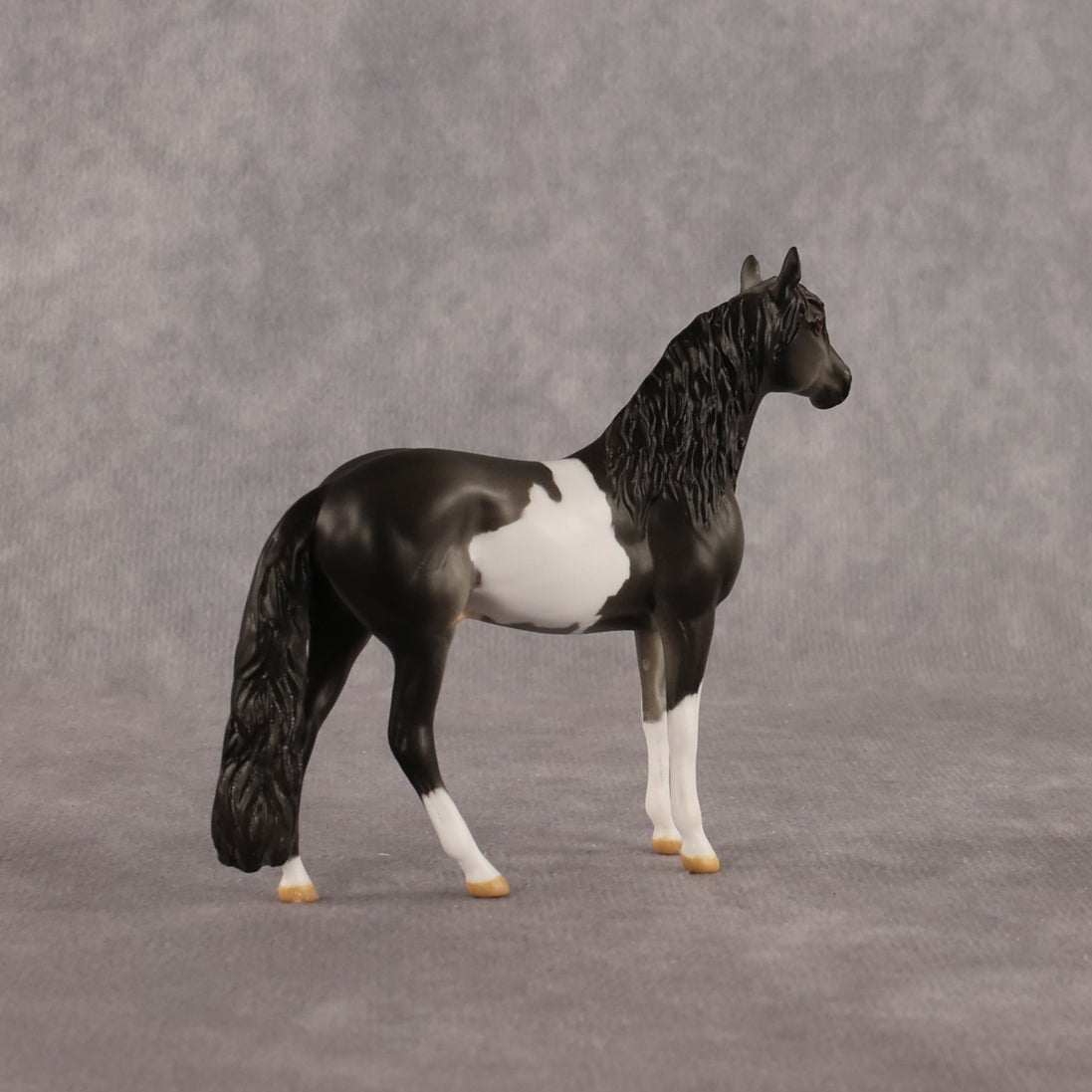 Distraction OOAK Chip Andalusian by Anna Rieck LHS26