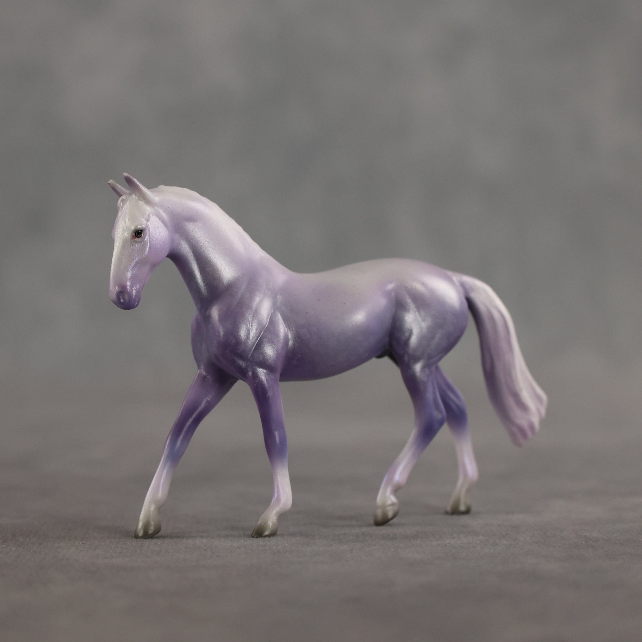 Doctor Prance OOAK Chip Warmblood by Leah Koerper Best Offer 3.31.2026