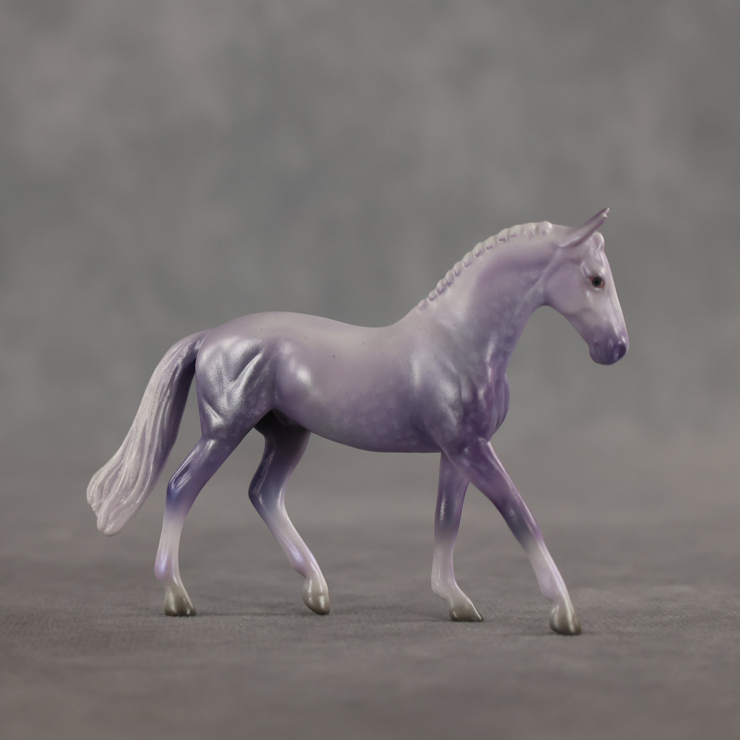Doctor Prance OOAK Chip Warmblood by Leah Koerper Best Offer 3.31.2026
