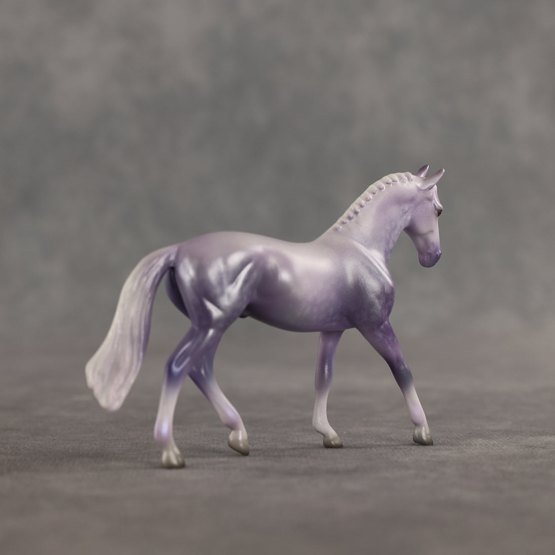 Doctor Prance OOAK Chip Warmblood by Leah Koerper Best Offer 3.31.2026
