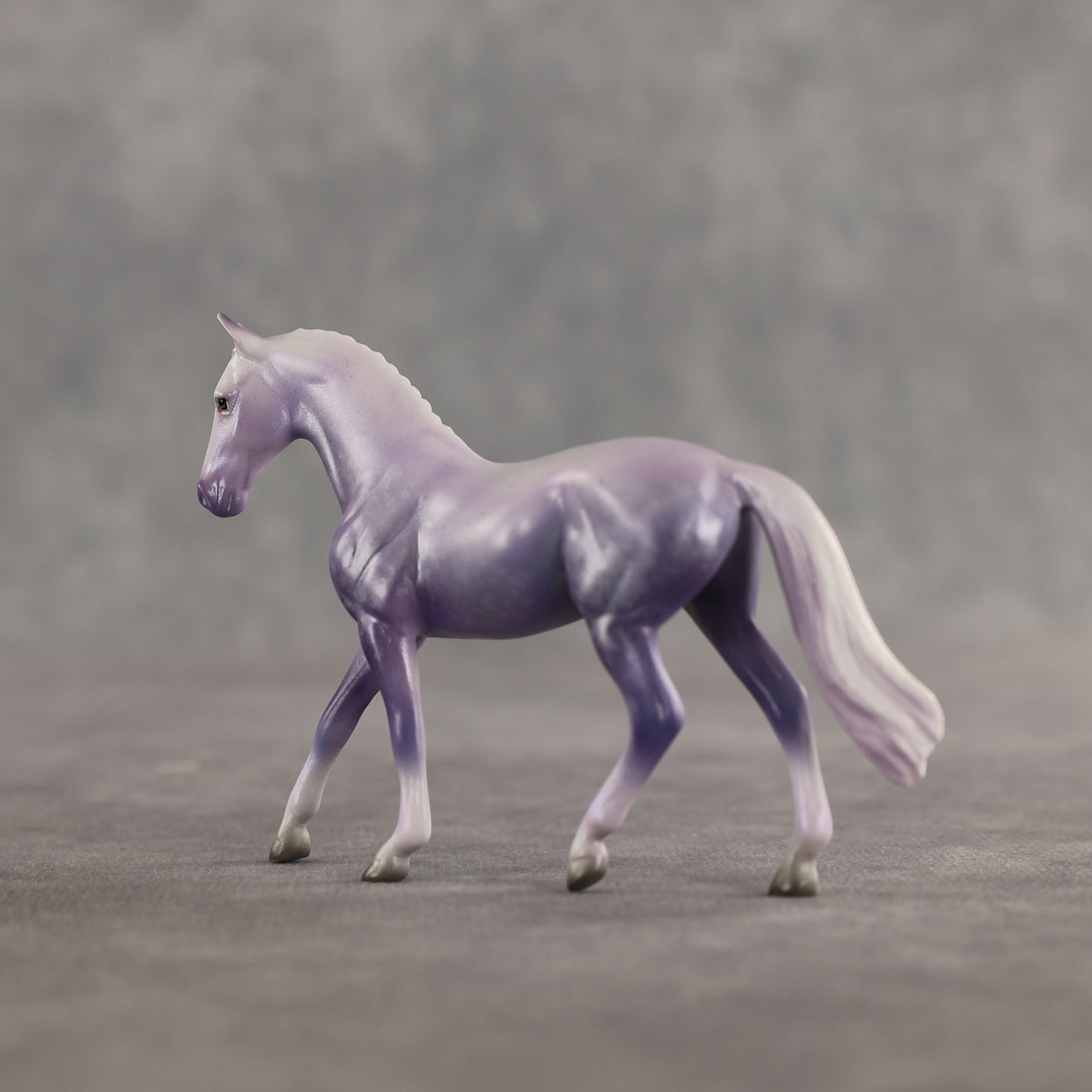 Doctor Prance OOAK Chip Warmblood by Leah Koerper Best Offer 3.31.2026
