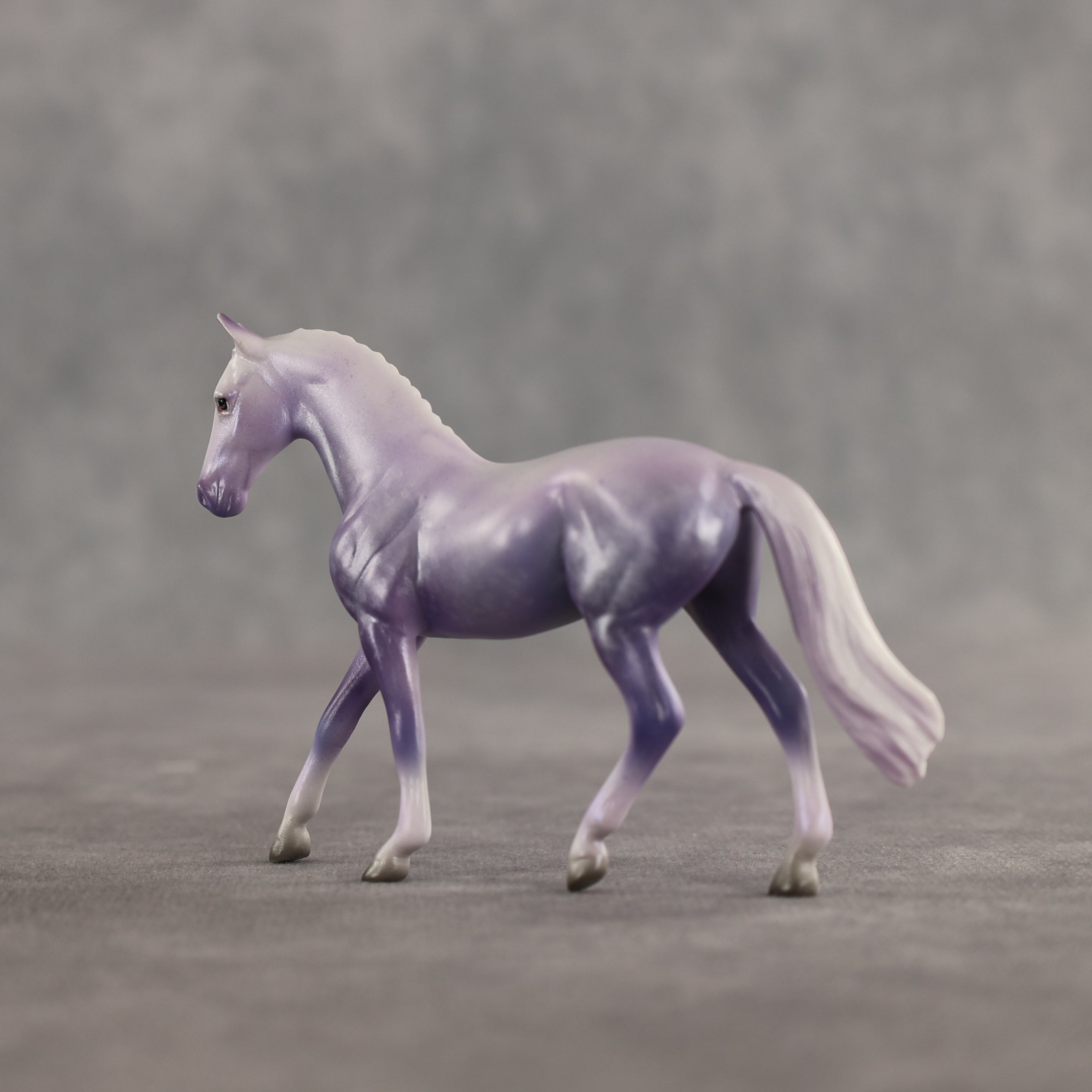 Doctor Prance OOAK Chip Warmblood by Leah Koerper Best Offer 3.31.2026