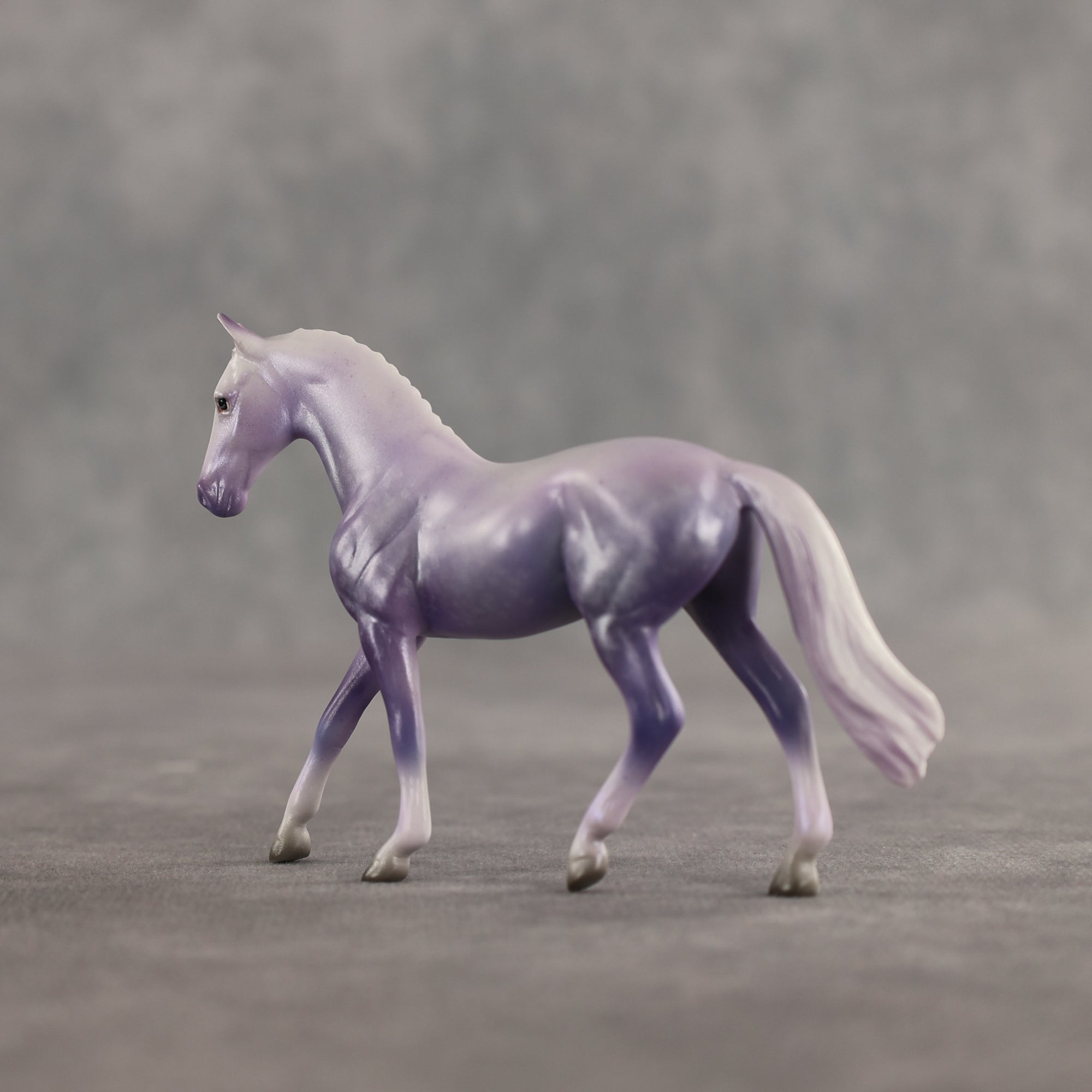 Doctor Prance OOAK Chip Warmblood by Leah Koerper Best Offer 3.31.2026