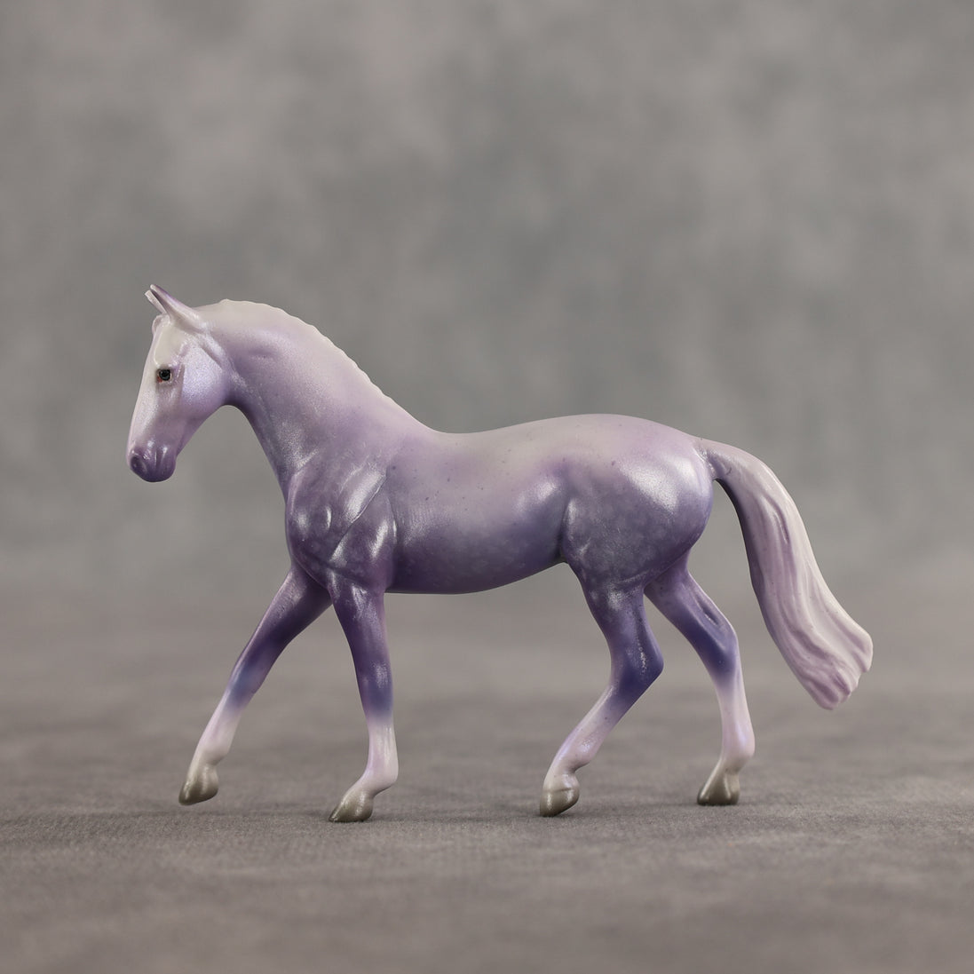 Doctor Prance OOAK Chip Warmblood by Leah Koerper Best Offer 3.31.2026