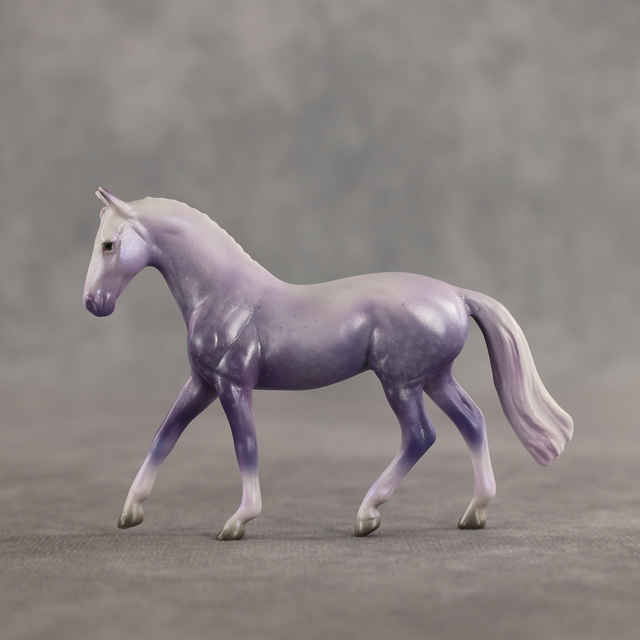 Doctor Prance OOAK Chip Warmblood by Leah Koerper Best Offer 3.31.2026