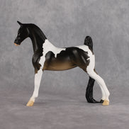 Doctor, Doctor! OOAK Pebble Saddlebred by Alex Fortman LHS26