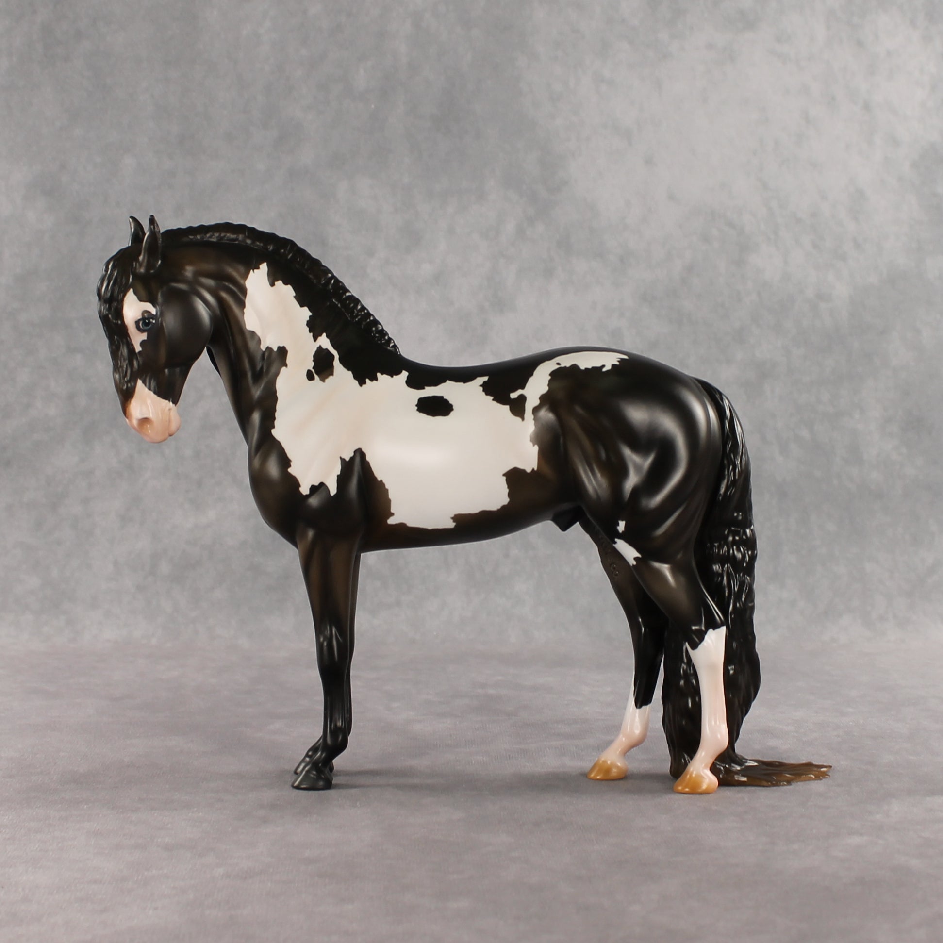 Don't Talk to Me EFCM LE-5 Andalusian by Melanie Miller TO26