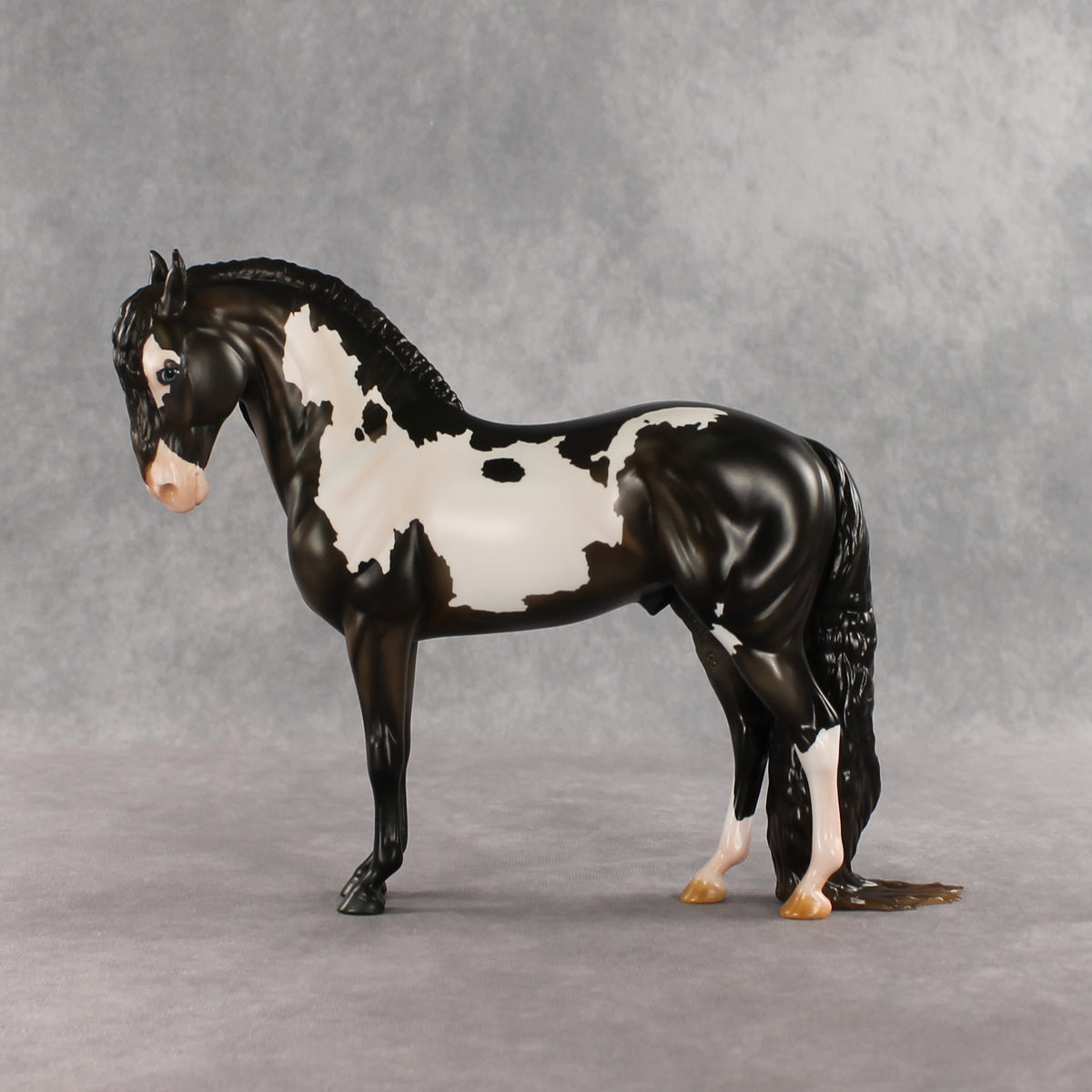 Don't Talk to Me EFCM LE-5 Andalusian by Melanie Miller TO26