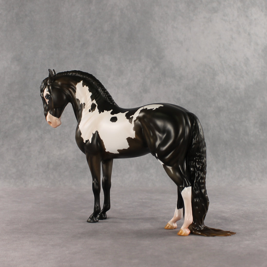 Don't Talk to Me EFCM LE-5 Andalusian by Melanie Miller TO26