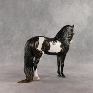 Don't Talk to Me EFCM LE-5 Andalusian by Melanie Miller TO26