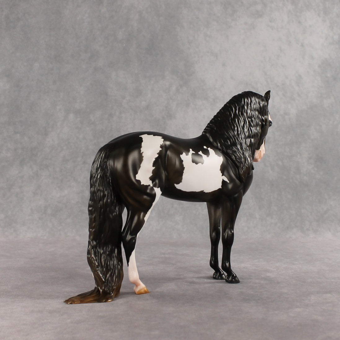 Don't Talk to Me EFCM LE-5 Andalusian by Melanie Miller TO26