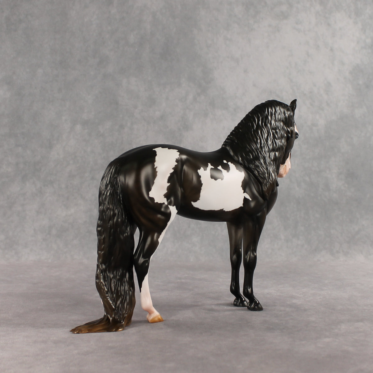 Don't Talk to Me EFCM LE-5 Andalusian by Melanie Miller TO26