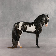 Don't Talk to Me EFCM LE-5 Andalusian by Melanie Miller TO26