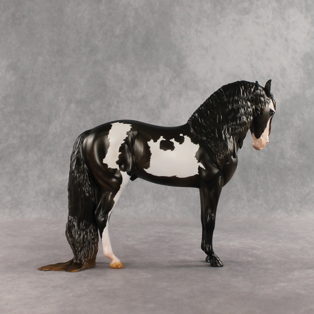 Don't Talk to Me EFCM LE-5 Andalusian by Melanie Miller TO26