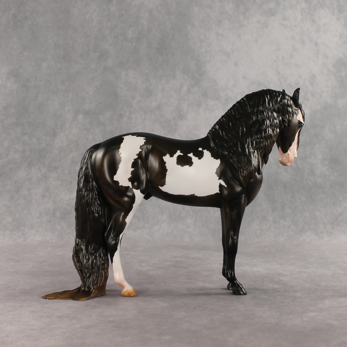 Don't Talk to Me EFCM LE-5 Andalusian by Melanie Miller TO26