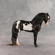 Don't Talk to Me EFCM LE-5 Andalusian by Melanie Miller TO26