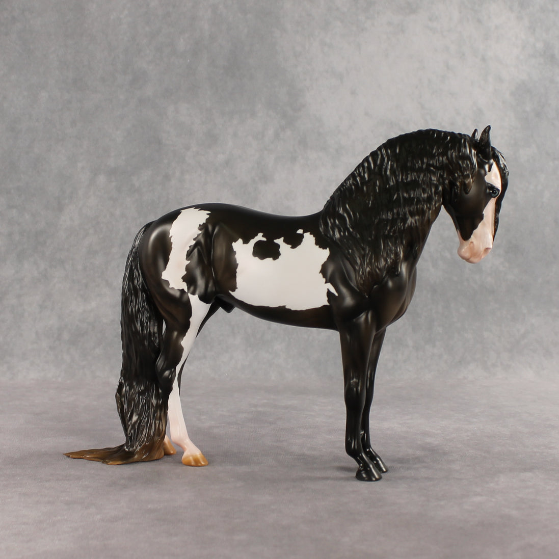 Don't Talk to Me EFCM LE-5 Andalusian by Melanie Miller TO26