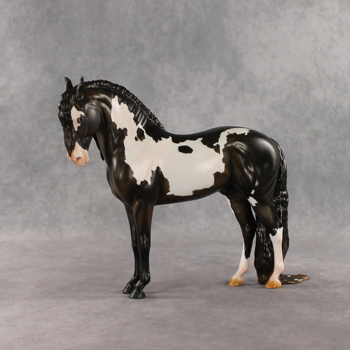 Don't Talk to Me EFCM LE-5 Andalusian by Melanie Miller TO26