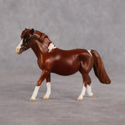 Don't Trust Me LE-5 Chip Pony by Anna Rieck July $99 Chips