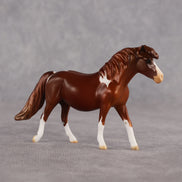 Don't Trust Me LE-5 Chip Pony by Anna Rieck July $99 Chips