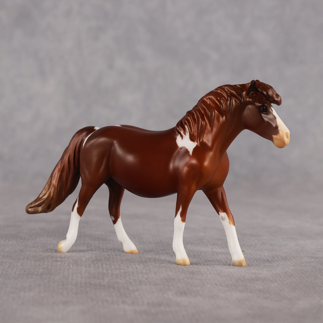 Don't Trust Me LE-5 Chip Pony by Anna Rieck July $99 Chips