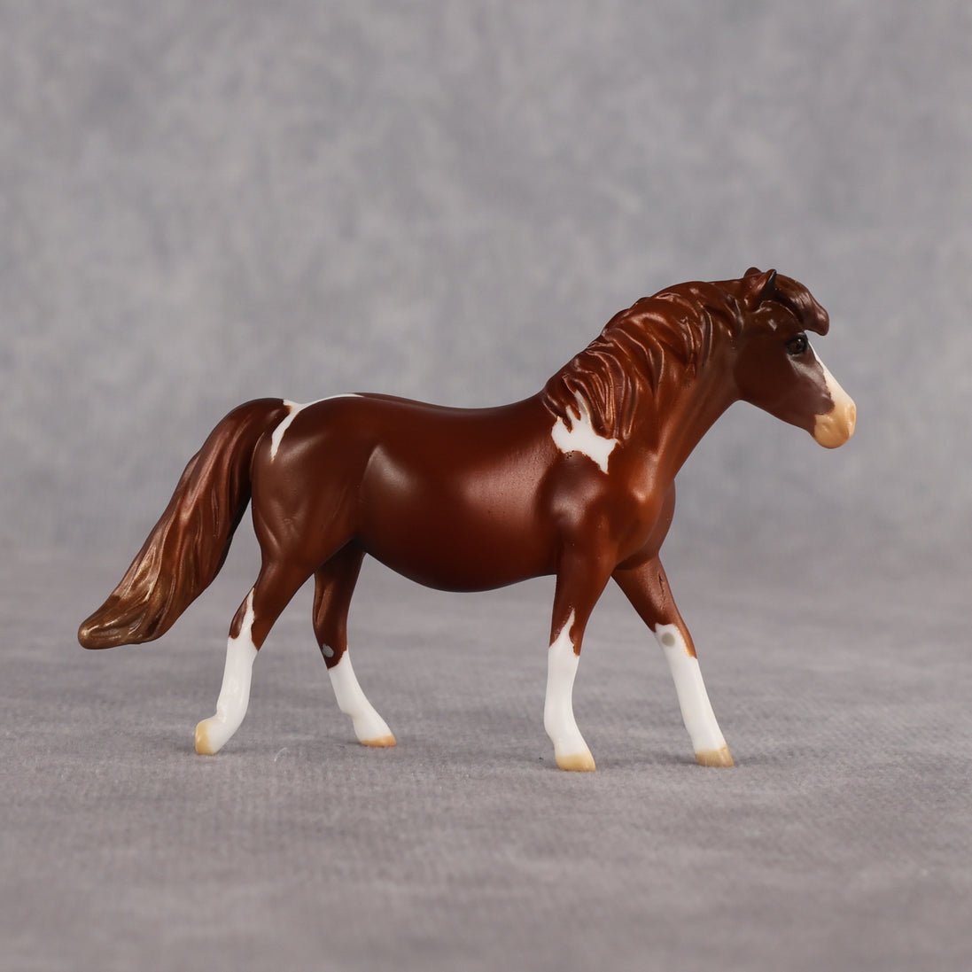 Don't Trust Me LE-5 Chip Pony by Anna Rieck July $99 Chips