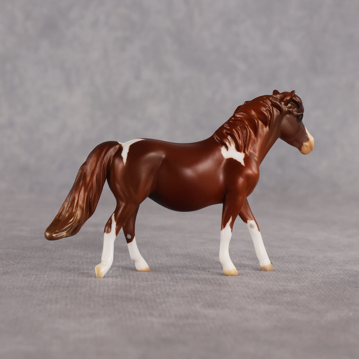Don't Trust Me LE-5 Chip Pony by Anna Rieck July $99 Chips