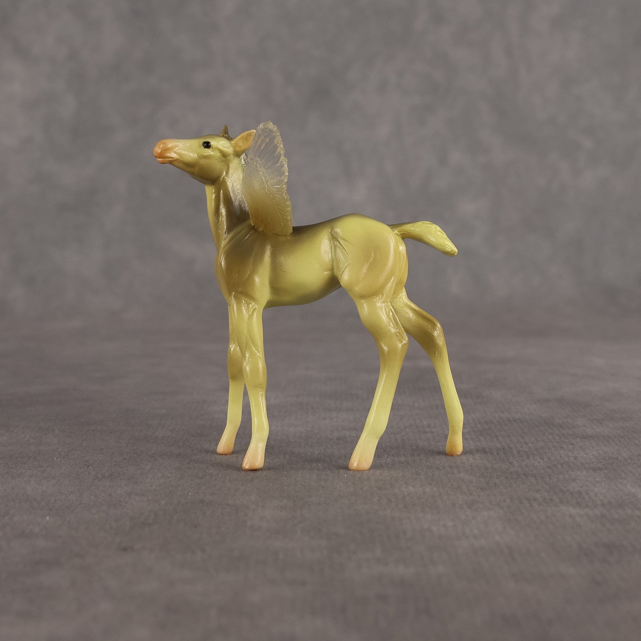 Doris OOAK FCM Chip Foal by Angela Marleau FTF26