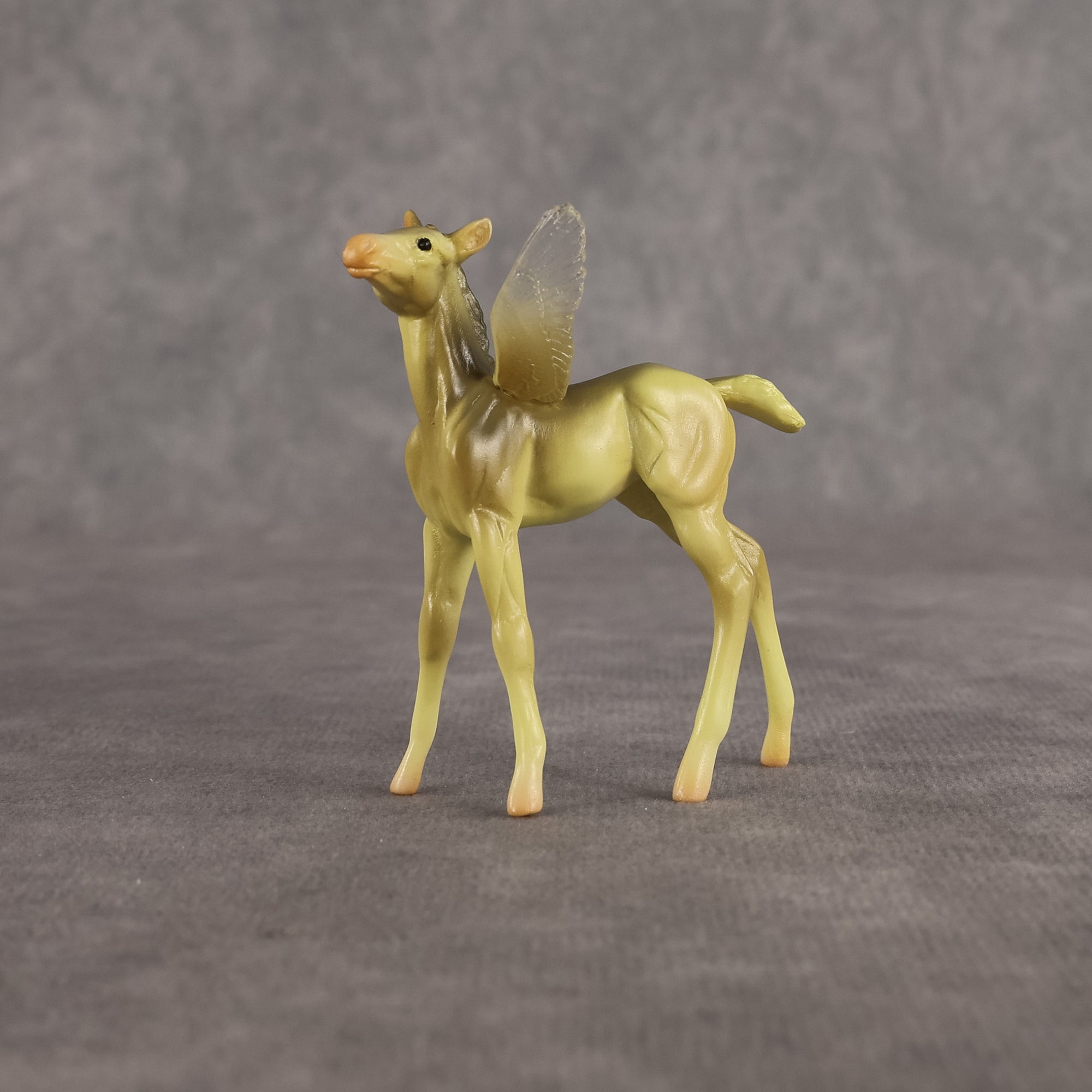 Doris OOAK FCM Chip Foal by Angela Marleau FTF26